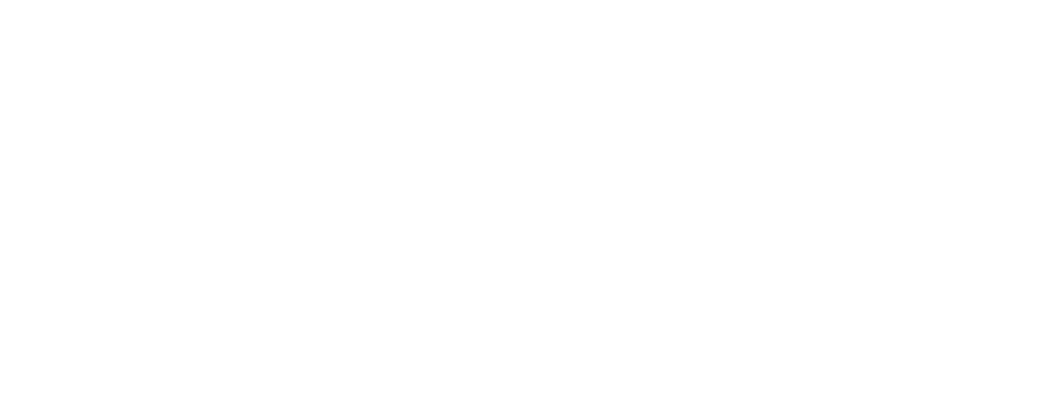 Edison Electric logo