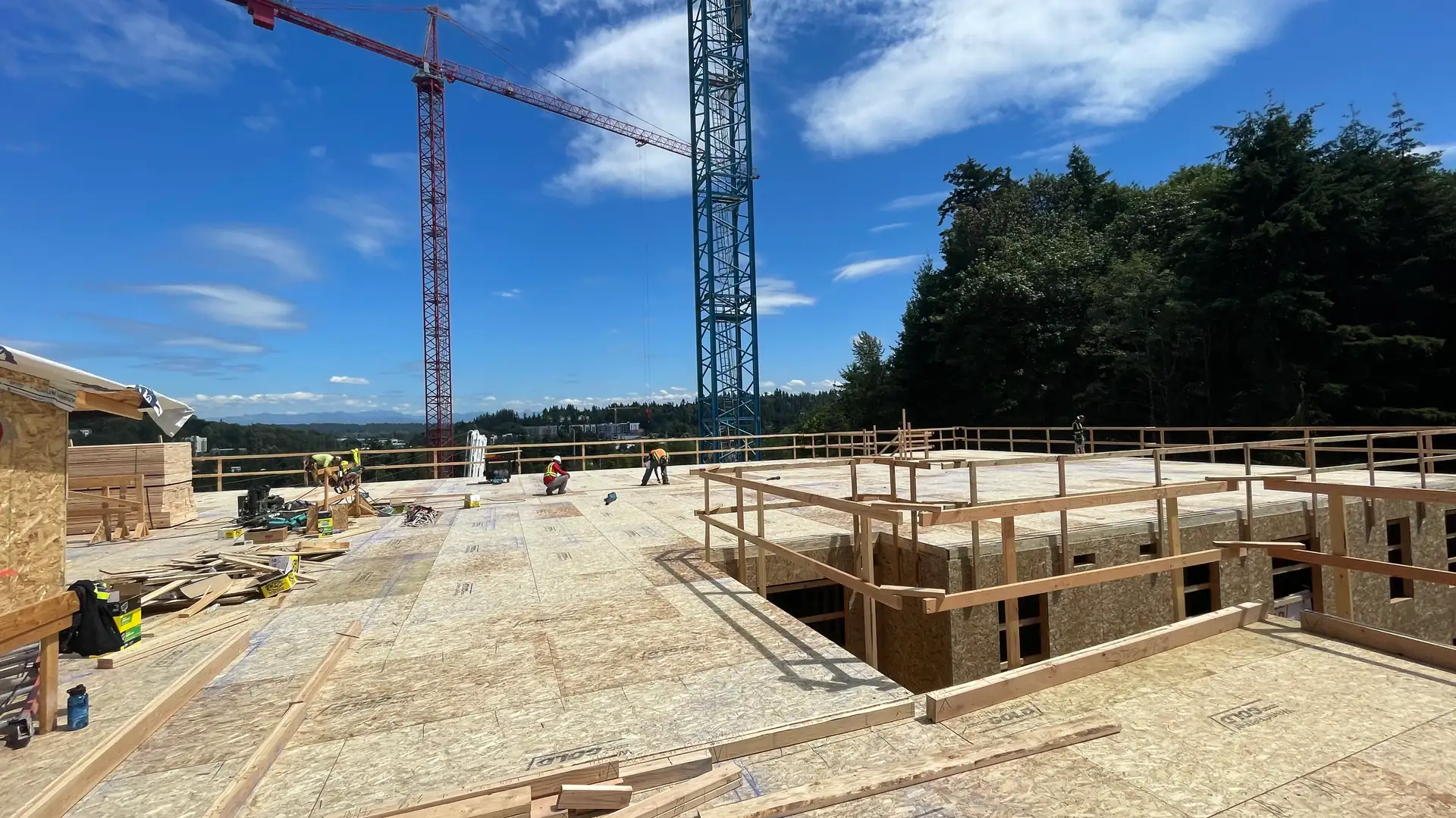 Wood framing beginning on the Polaris at Totem Lake podium deck beneath tower cranes
