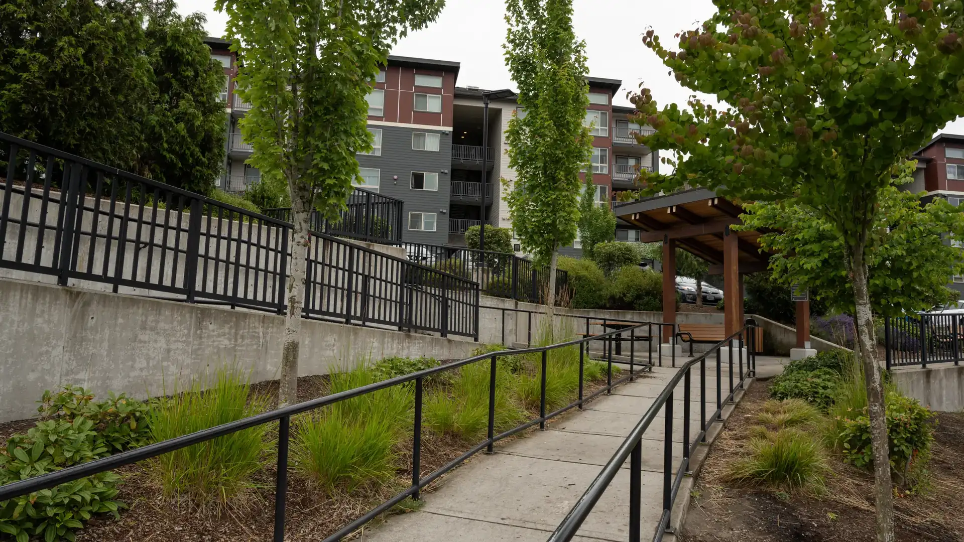Tree-lined courtyard walkway between the Waterview Crossing buildings